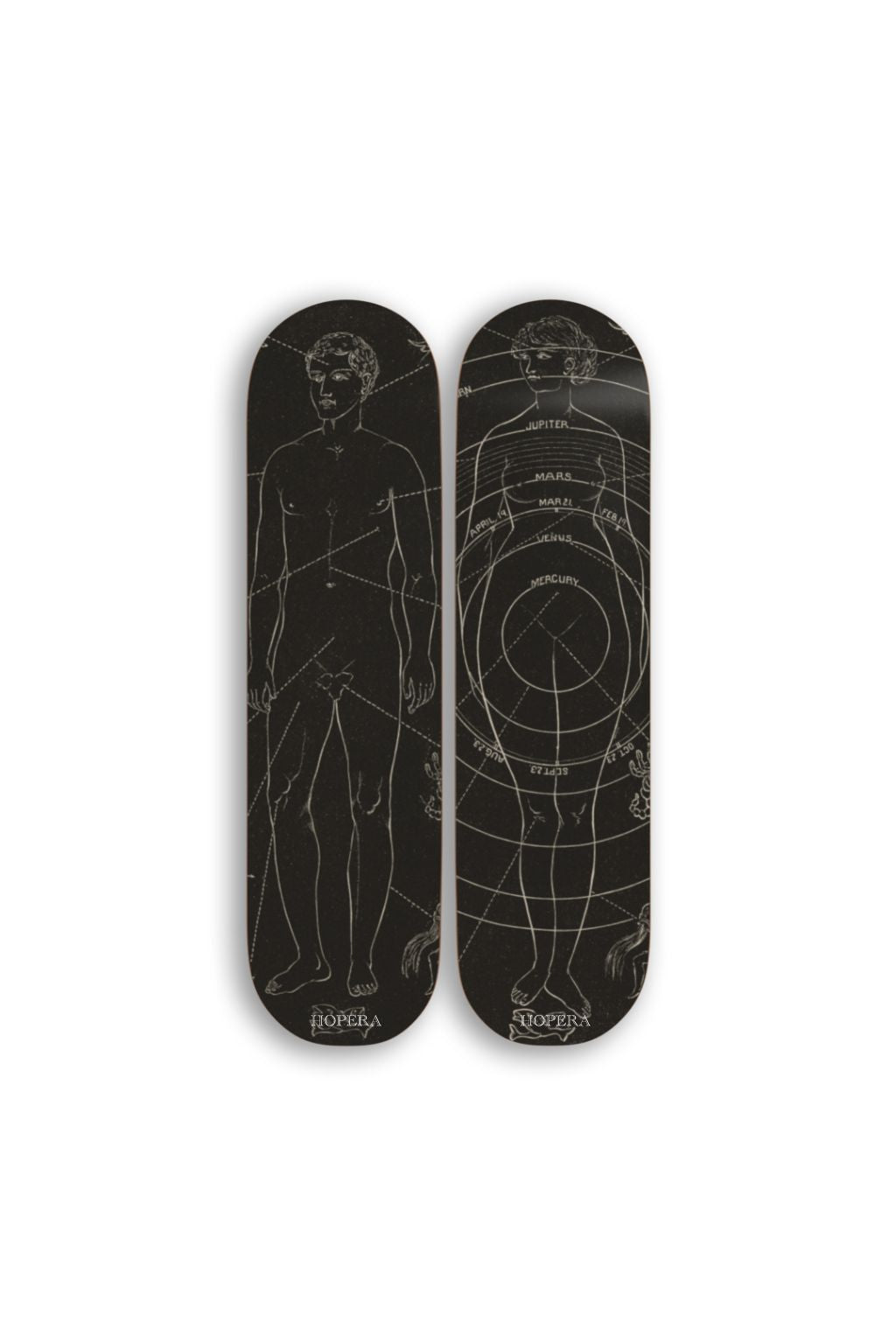 Diptych of 2 Skates: Solar Biology