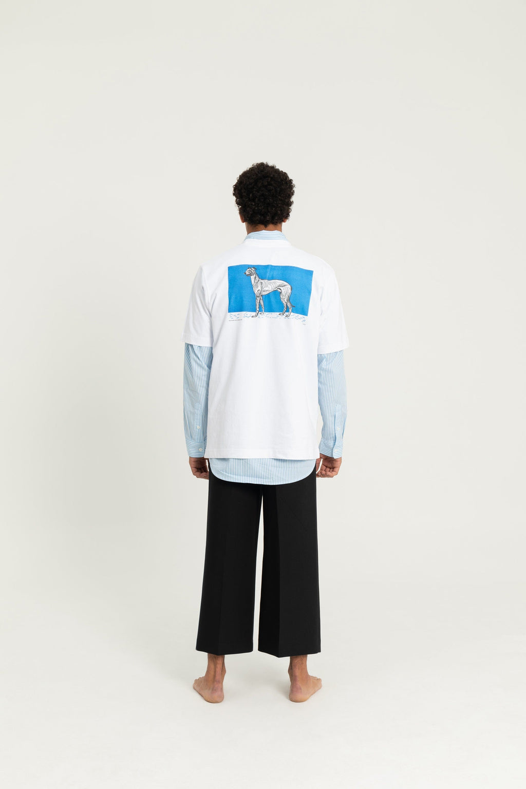 Greyhound 1 (1912) By Moriz Jung T-shirt White