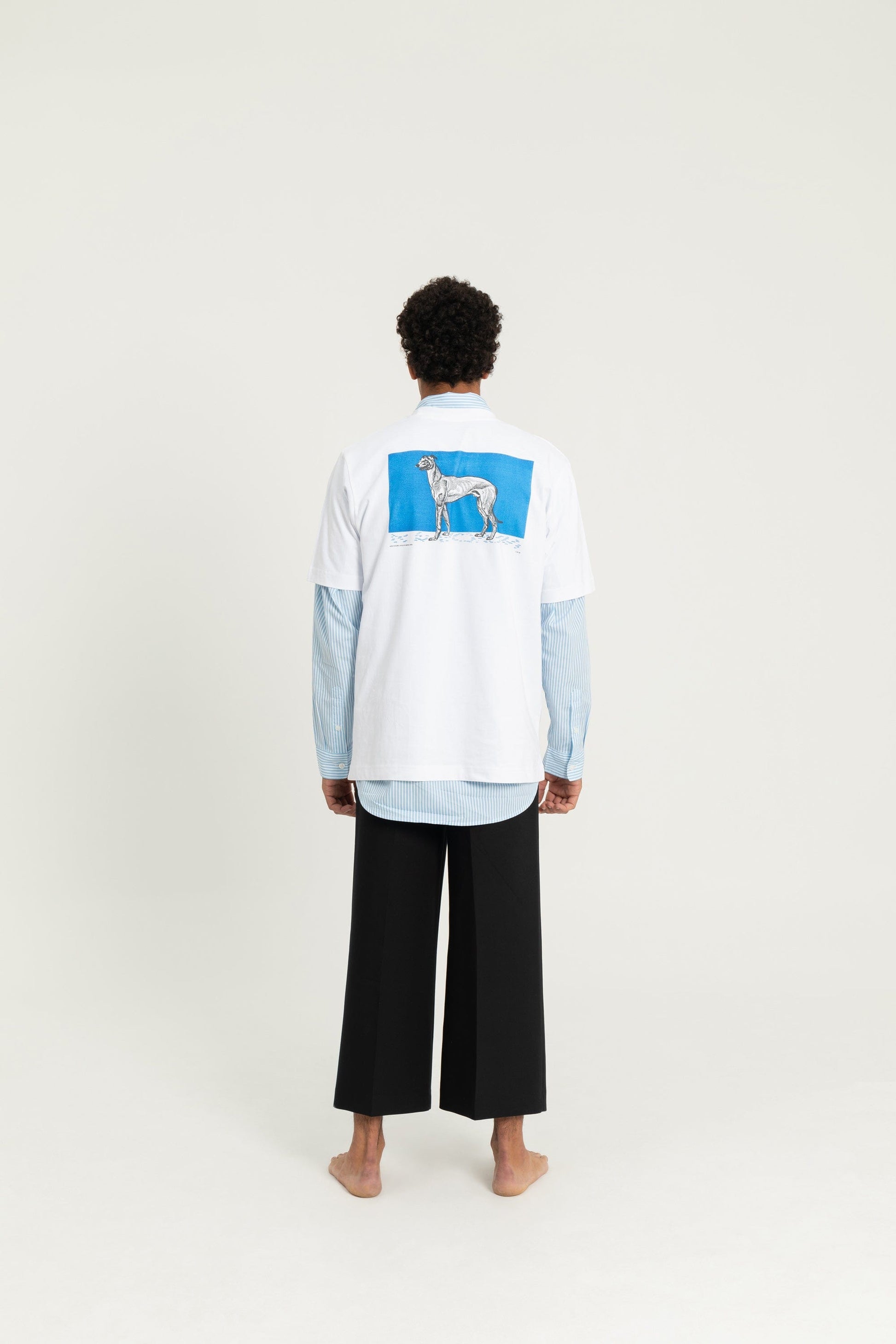 Greyhound 1 (1912) By Moriz Jung T-shirt White