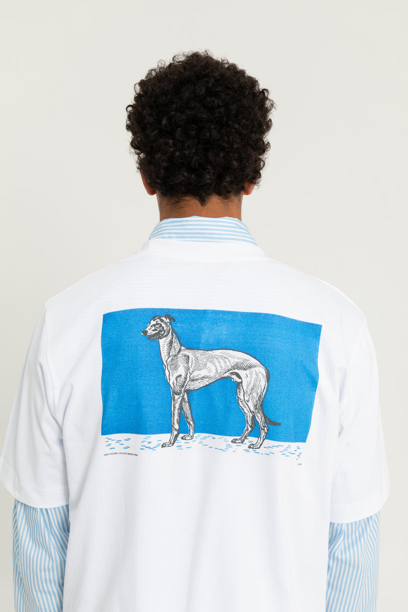 Greyhound 1 (1912) By Moriz Jung T-shirt White